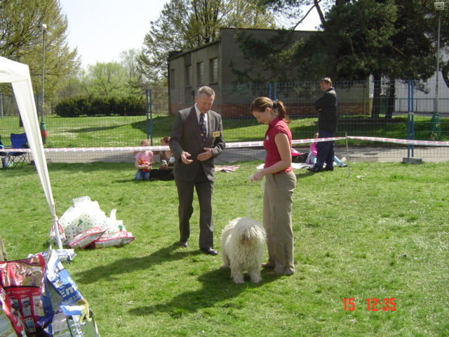 Klubová výstava Ostrava 002.jpg