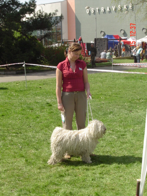 Klubová výstava Ostrava 006.jpg