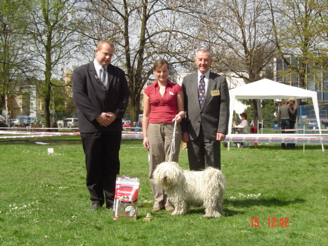 Klubová výstava Ostrava 014.jpg