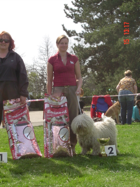 Klubová výstava Ostrava 026.jpg