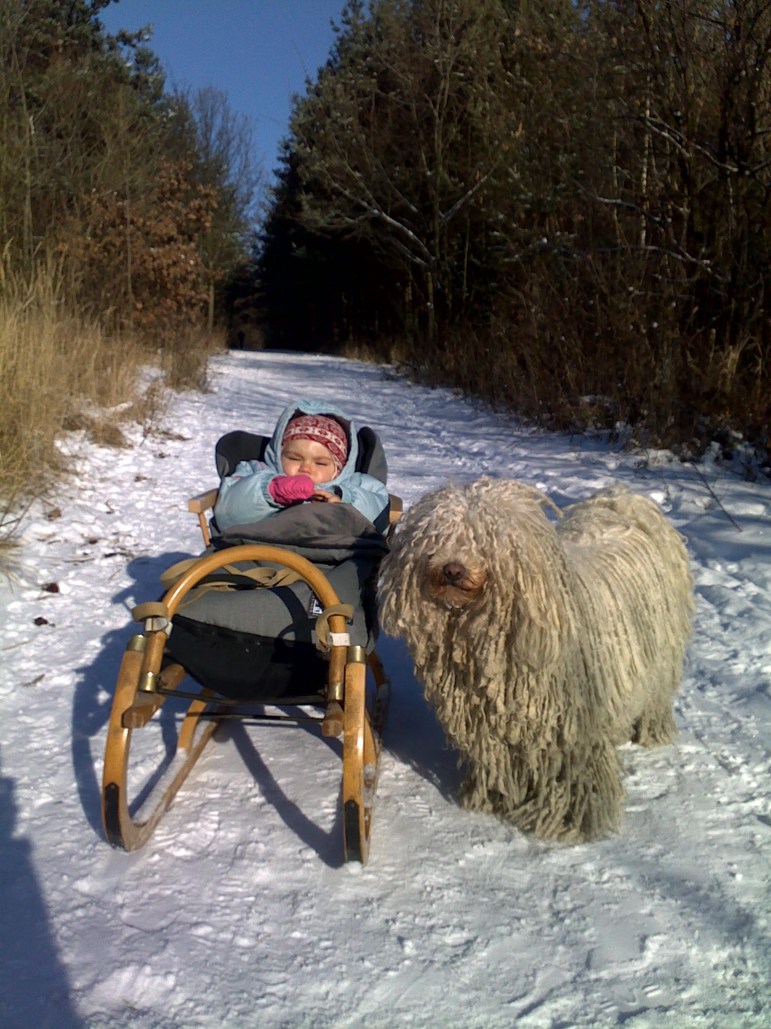 08012009030.jpg