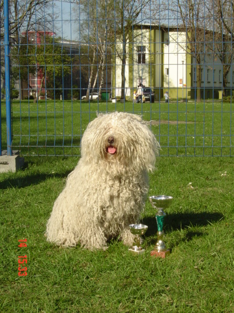 1 NVP Ostrava 14.4.2007 037.jpg