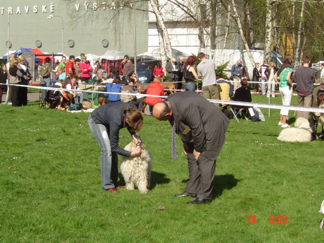 NVP Ostrava 14.4.2007 007.jpg