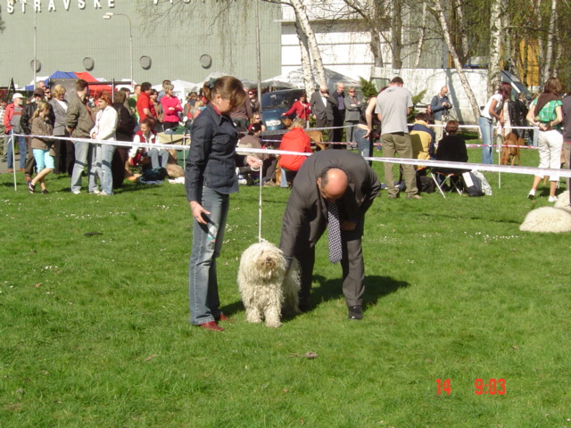 NVP Ostrava 14.4.2007 008.jpg