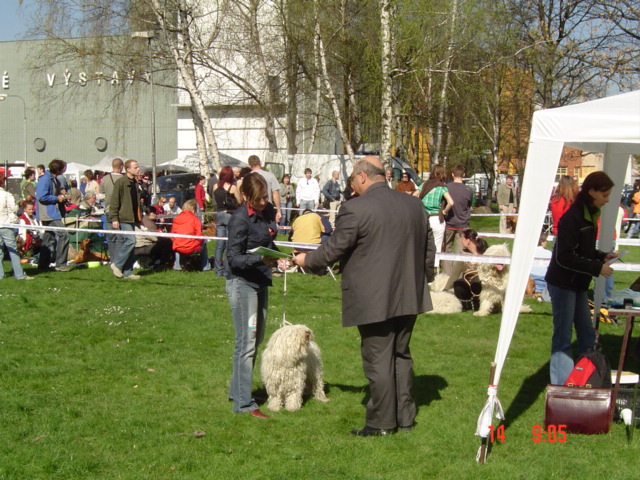 NVP Ostrava 14.4.2007 017.jpg
