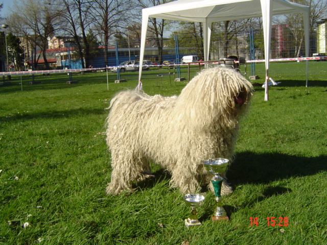 NVP Ostrava 14.4.2007 029.jpg