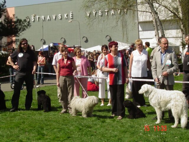 DSC01686.jpg